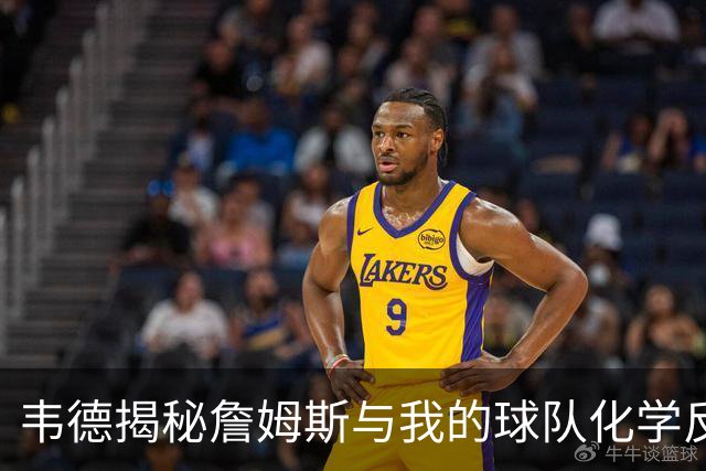 韦德揭秘詹姆斯与我的球队化学反应